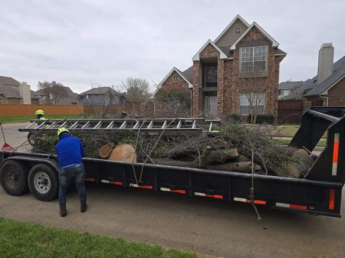 Expert Lot Clearing with proper safety equipment in Parma